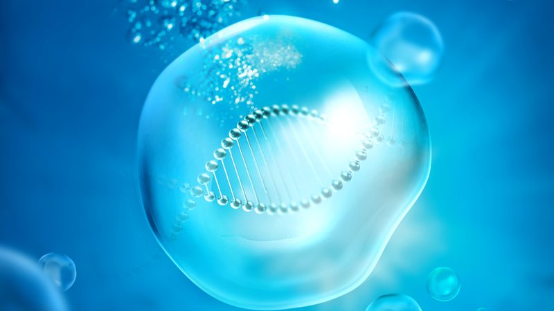 实验室细胞工厂：生物反应器规格如何影响生产效率**
