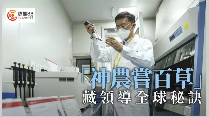 CDMO商业模式：加盟的门槛与机遇**
