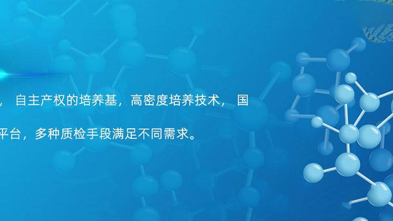 临床前毒理实验外包：费用构成与考量因素**