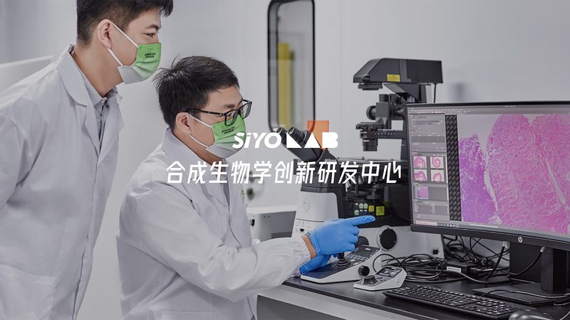 细胞培养瓶规格参数