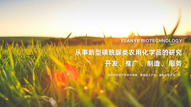引物HPLC纯化OD值规格：解析关键指标与优化策略