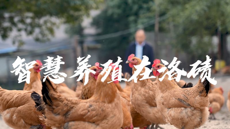 成都实验室仪器耗材批发价格，如何理性选择？**